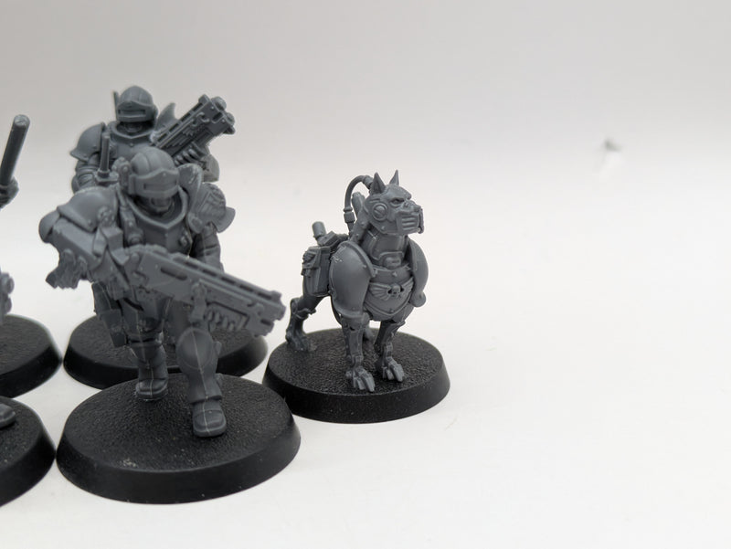 Warhammer 40k: Imperial Agents Exaction Squad Arbites Kill Team (AD114)