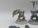 Warhammer 40k: Orks Nobz (AE146)