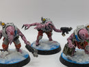 Warhammer 40k: Genestealer Cults Acolyte Hybrids (AC143)