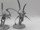 Warhammer 40k: Tyranid Von Ryan's Leapers and Winged Prime (AD132)