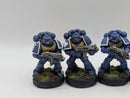 Warhammer 40k: Space Marines Tactical Marines (AC180)