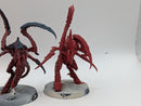 Warhammer 40k: Tyranid Winged Prime and Von Ryan's Leapers (AC137)