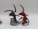 Warhammer 40k: Tyranid Winged Prime and Von Ryan's Leapers (AC137)