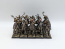 Warhammer The Old World: Warriors of Chaos Marauder Horsemen - Painted (AX094)