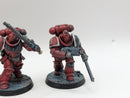 Warhammer 40k: Space Marine Assault Intercessors - Pro Painted (AW014)