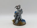 Warhammer 40k: Space Marines Gravis Captain and Apothecary (AC113)