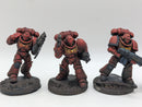 Warhammer 40k: Space Marines Intercessors - Well Painted (AI205)