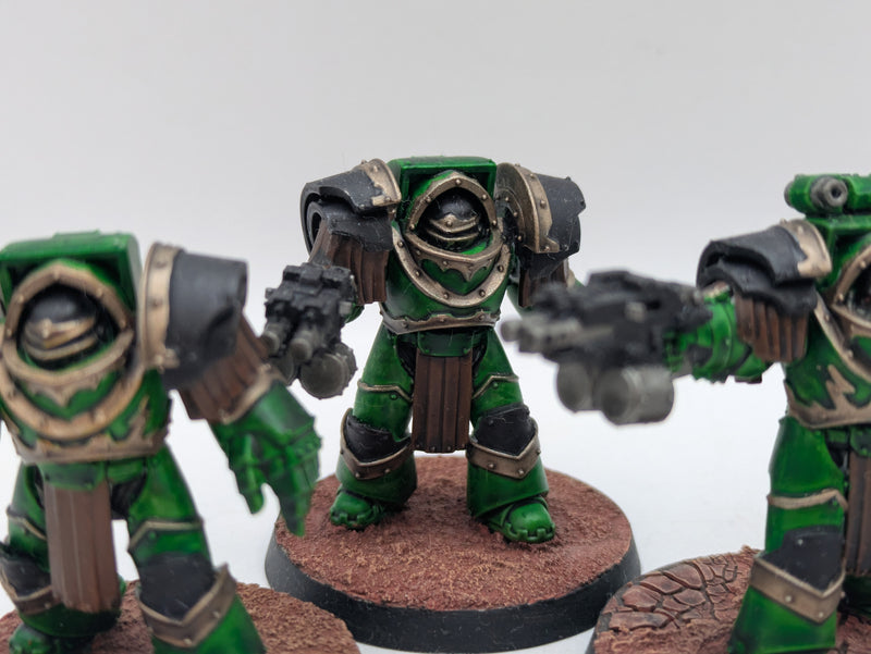 Warhammer Horus Heresy: Space Marine Salamander Cataphractii Terminators - Well Painted (AD046)