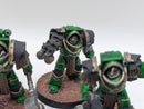 Warhammer Horus Heresy: Space Marine Salamander Cataphractii Terminators - Well Painted (AD046)