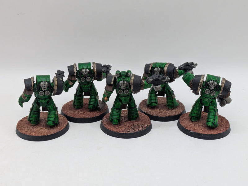 Warhammer Horus Heresy: Space Marine Salamander Cataphractii Terminators - Well Painted (AD046)