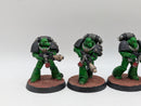 Warhammer Horus Heresy: Space Marine Salamanders MKVI Support Marines - Well Painted (AI180)