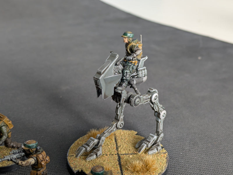 Star Wars Legion: Core Set Painted - Well Painted (BB489)