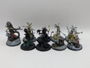 Warhammer Age of Sigmar: Daughters of Khaine Blood Stalkers (BA006)