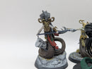 Warhammer Age of Sigmar: Daughters of Khaine Blood Stalkers (BA006)