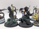 Warhammer Age of Sigmar: Daughters of Khaine Blood Stalkers (BA006)