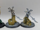 Warhammer Age of Sigmar: Daughters of Khaine Blood Stalkers (BA006)
