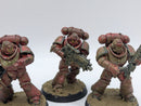 Warhammer 40k: Space Marines Intercessors (AZ057)