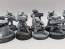 Warhammer 40k: T'au Empire Fire Warriors, Cadre Fireblade and Ethereal (AA014)