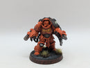Warhammer 40k: Space Marine Aggressors - Painted (BH060)