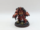 Warhammer 40k: Space Marine Aggressors - Painted (BH059)
