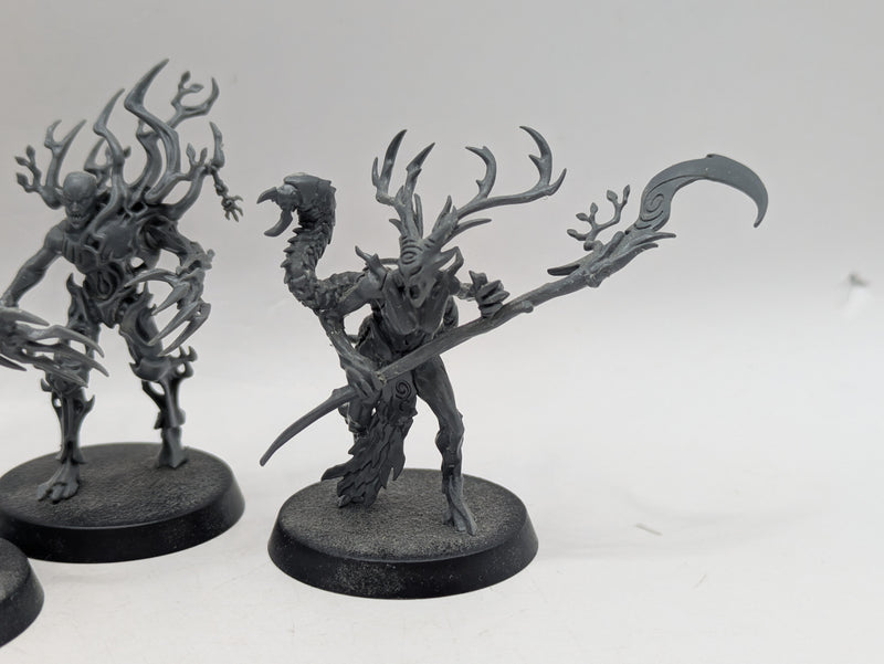 Warhammer Age of Sigmar: Sylvaneth Tree Revenants, Arch Revenant and Branchwych (BC082)