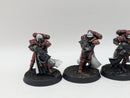 Warhammer 40k: Adepta Sororitas Battle Sisters Squad - Painted (BH008)