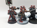 Warhammer 40k: Adepta Sororitas Battle Sisters Squad (BH007)