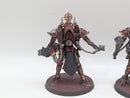 Warhammer 40k: Adepta Sororitas Paragon Warsuits - Painted (BH010)