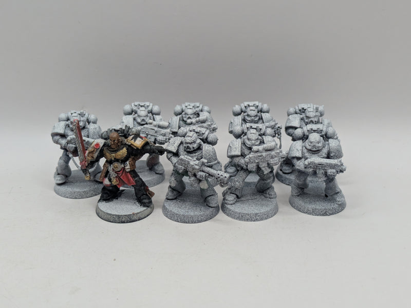 Warhammer 40k: Space Marine Tactical Marines (AH018)