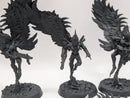 Warhammer 40k: Drukhari Scourges (AO019)