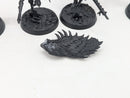 Warhammer 40k: Drukhari Scourges (AO019)