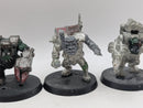 Warhammer 40k: Orks Metal Nobz (BA015)