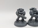 Warhammer 40k: Space Marines Tactical Marines (AH101)
