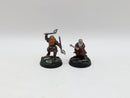 Warhammer Lord of the Rings: Thorins Company Gloin and Dwalin - Well Painted (AF027)