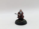 Warhammer Lord of the Rings: Thorins Company Gloin and Dwalin - Well Painted (AF027)