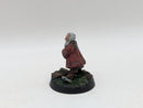 Warhammer Lord of the Rings: Thorins Company Gloin and Dwalin - Well Painted (AF027)