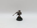 Warhammer Lord of the Rings: Radagast the Brown - Well Painted (AF110)
