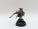 Warhammer Lord of the Rings: Radagast the Brown - Well Painted (AF110)