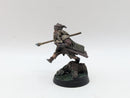 Warhammer Lord of the Rings: Radagast the Brown - Well Painted (AF110)