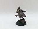 Warhammer Lord of the Rings: Radagast the Brown - Well Painted (AF110)