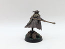 Warhammer Lord of the Rings: Radagast the Brown - Well Painted (AF110)