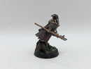 Warhammer Lord of the Rings: Radagast the Brown - Well Painted (AF110)