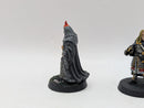 Warhammer Lord of the Rings: Gondor Denethor and Irolas - Well Painted (BH093)