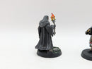 Warhammer Lord of the Rings: Gondor Denethor and Irolas - Well Painted (BH093)