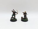 Warhammer Lord of the Rings: Rohan Aldor and Haleth - Well Painted (AA085)