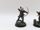 Warhammer Lord of the Rings: Rohan Aldor and Haleth - Well Painted (AA085)