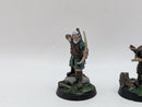 Warhammer Lord of the Rings: Rohan Aldor and Haleth - Well Painted (AA085)