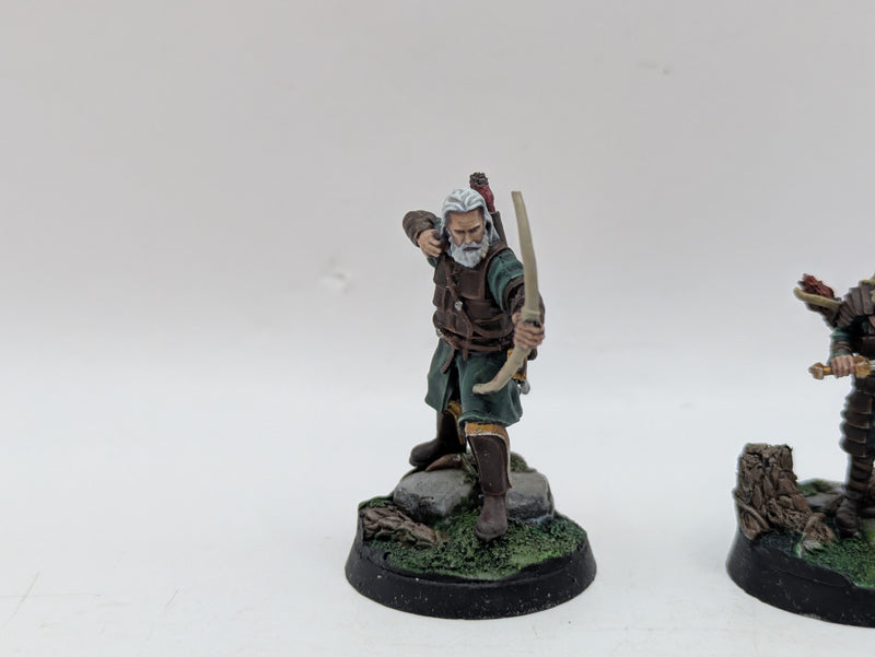 Warhammer Lord of the Rings: Rohan Aldor and Haleth - Well Painted (AA085)