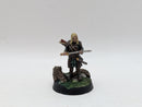 Warhammer Lord of the Rings: Rohan Aldor and Haleth - Well Painted (AA085)