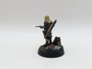 Warhammer Lord of the Rings: Rohan Aldor and Haleth - Well Painted (AA085)